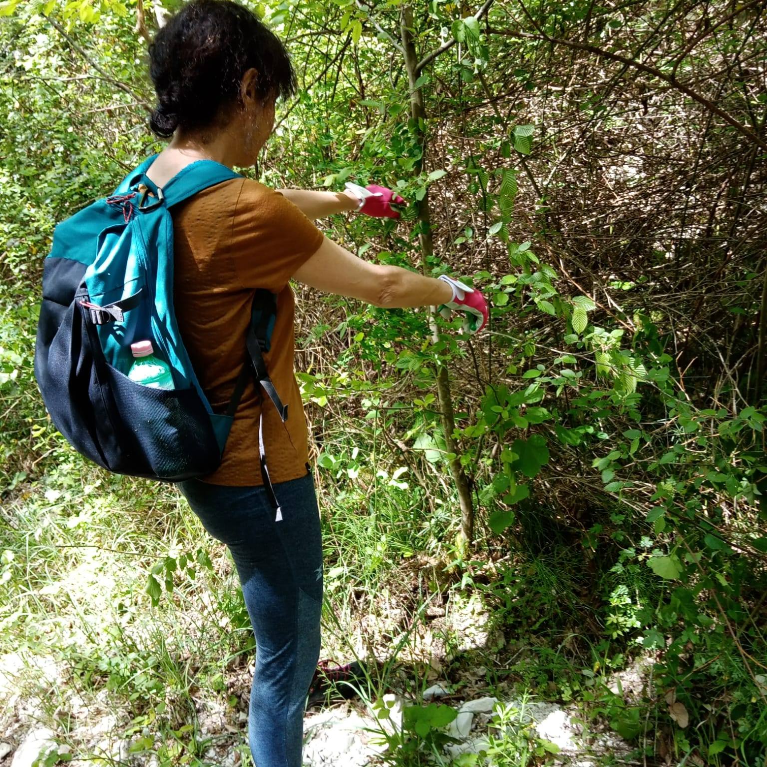 Una volontaria cura la vegetazione lungo un percorso