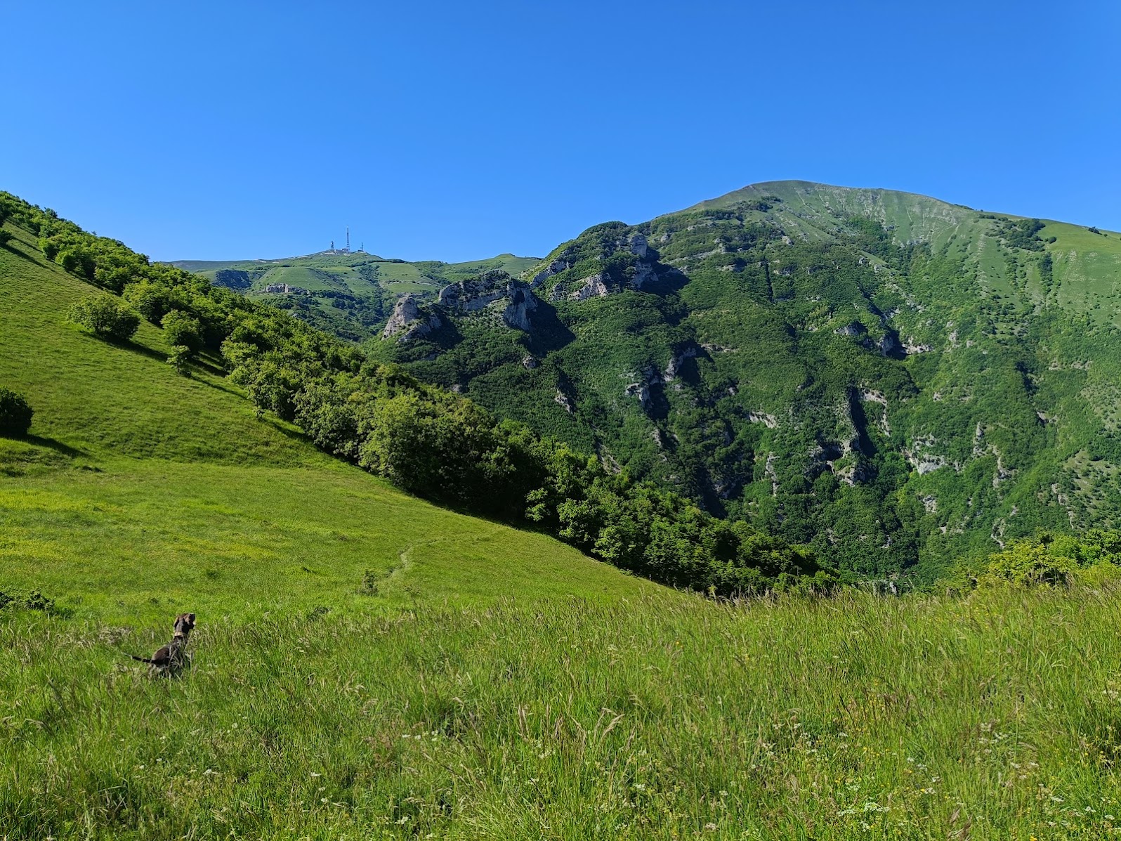 Prati e montagne verdi nel territorio di Pianello