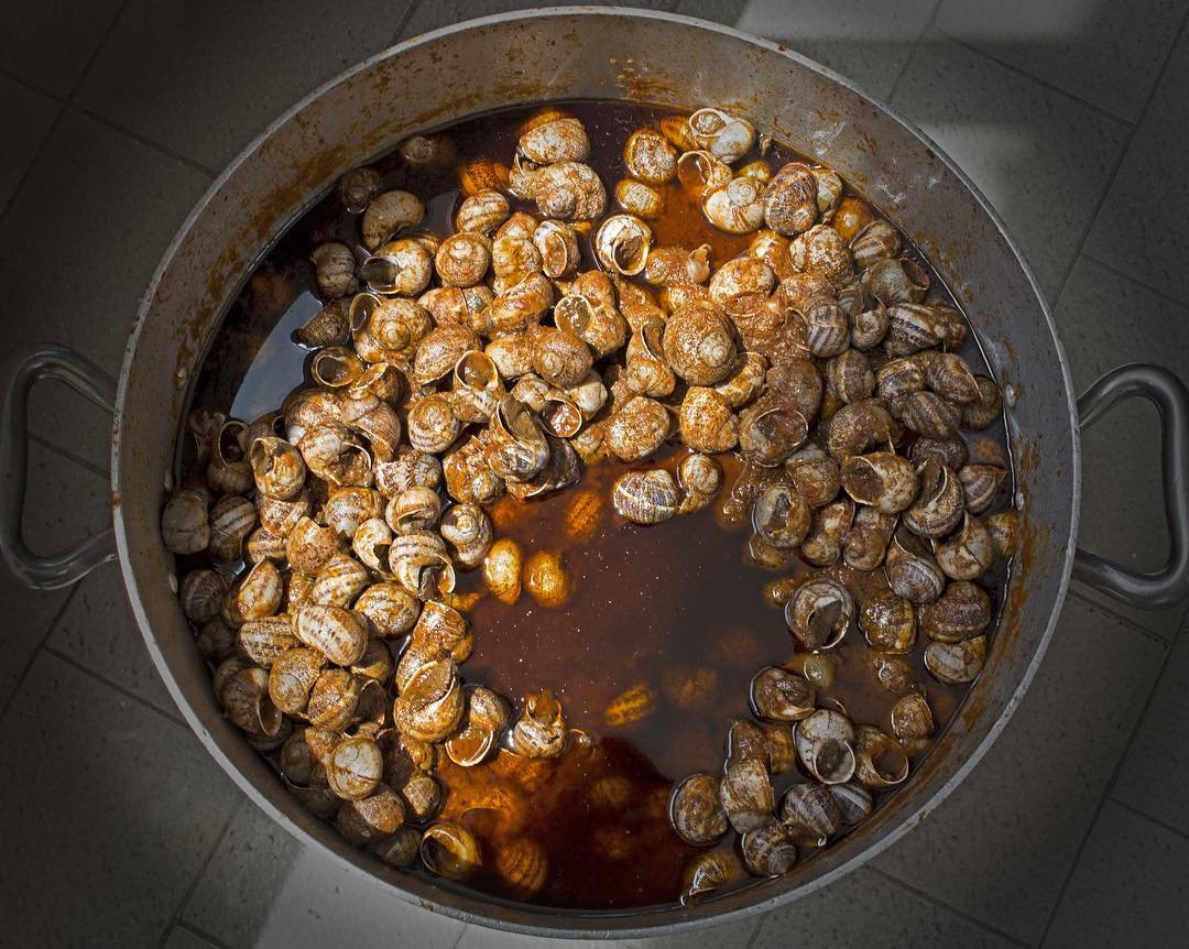 Lumache in cottura nel sugo